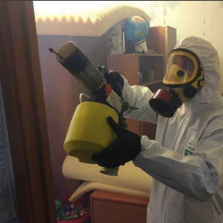 Уничтожение клопов в квартире. Таганрог